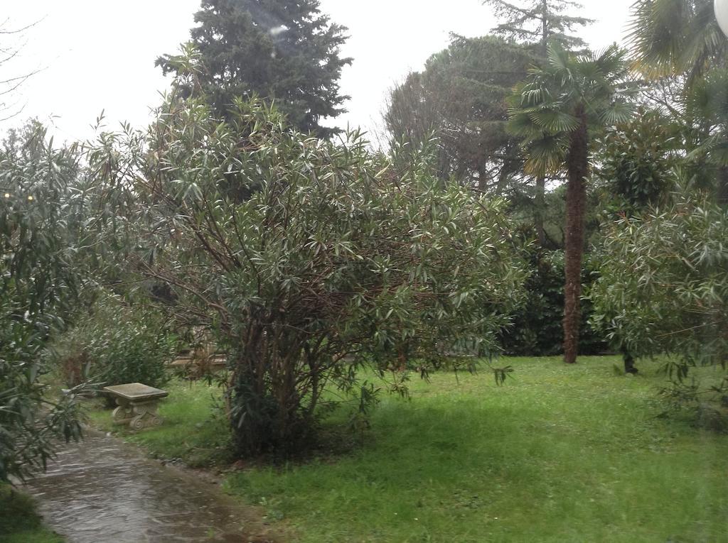 Park Hotel Castel San Pietro Terme Buitenkant foto